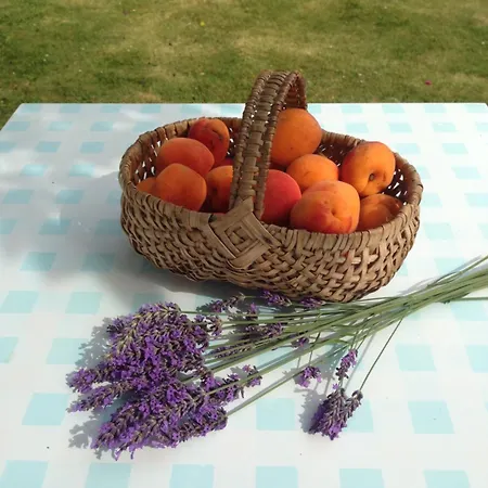 D'hotes Le Bignon Dans Les Alpes Mancelles *