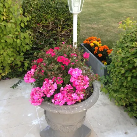 D'hotes Le Bignon Dans Les Alpes Mancelles Bed & Breakfast *