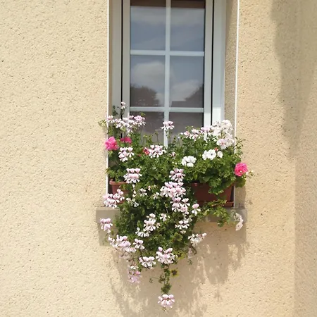D'hotes Le Bignon Dans Les Alpes Mancelles فندق مبيت وإفطار