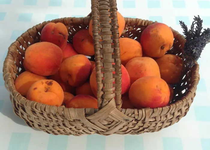 Panzió D'hotes Le Bignon Dans Les Alpes Mancelles Villaines-la-Juhel