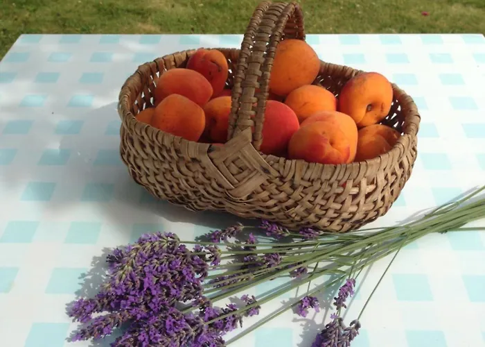 D'hotes Le Bignon Dans Les Alpes Mancelles *