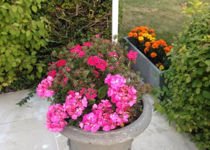 D'hotes Le Bignon Dans Les Alpes Mancelles Panzió *