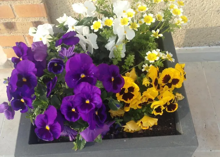 D'hotes Le Bignon Dans Les Alpes Mancelles * Villaines-la-Juhel