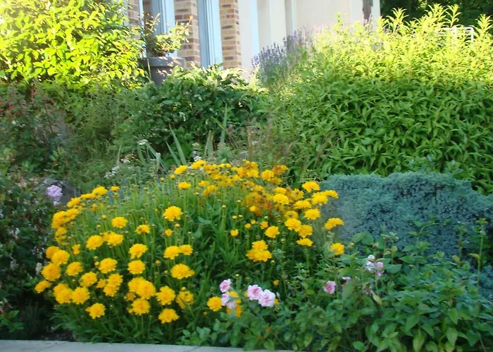 D'hotes Le Bignon Dans Les Alpes Mancelles * Villaines-la-Juhel