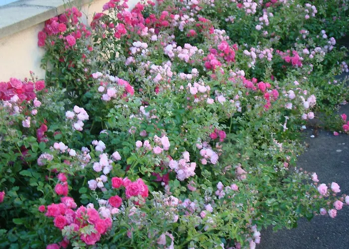 Panzió D'hotes Le Bignon Dans Les Alpes Mancelles