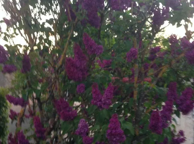 D'hotes Le Bignon Dans Les Alpes Mancelles